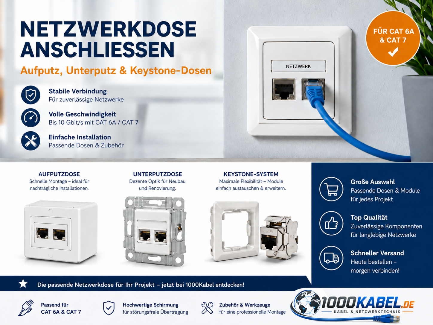Netzwerkdose anschlie�en: Anleitung und Belegung
